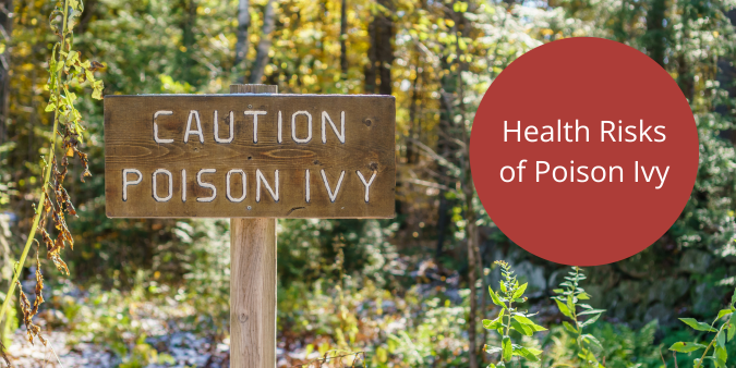 Health Risks of Poison Ivy | Outdoor Blog